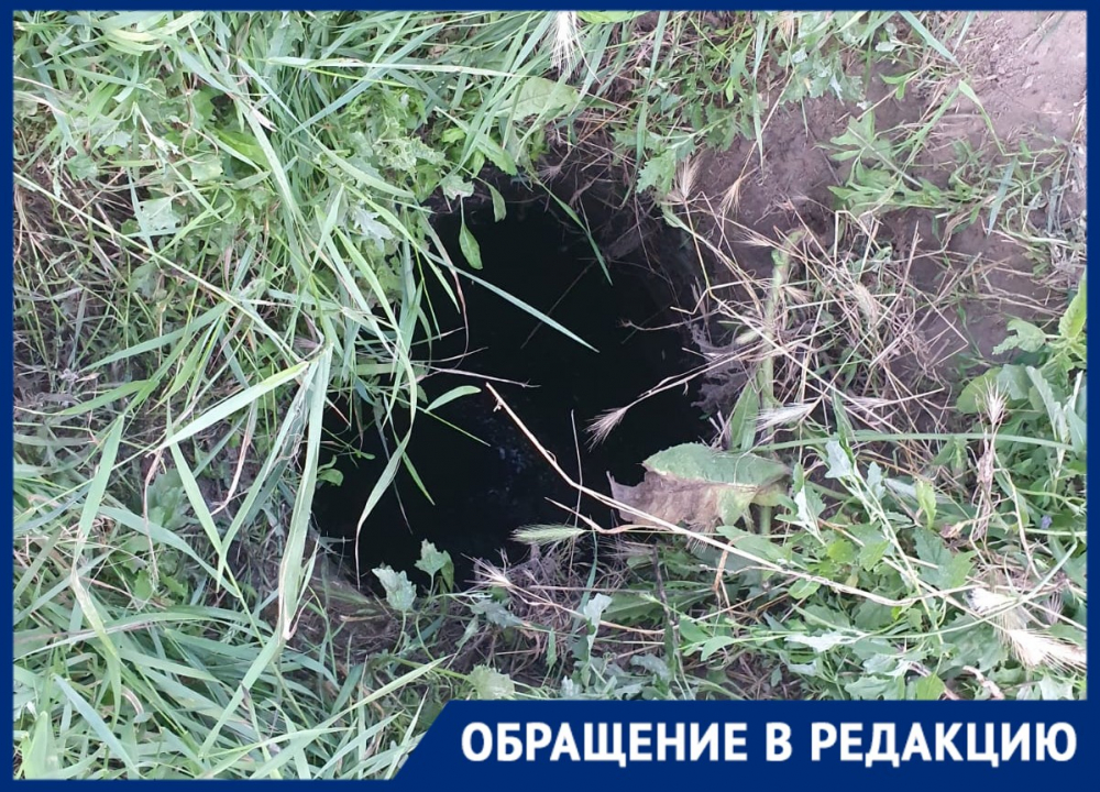 В Таганроге 3-летний ребенок вместе с отцом провалился в яму В Таганроге 3-летний ребенок вместе с отцом провалился в яму