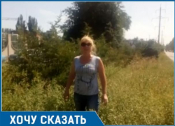 Травой зарос вьезд в Таганрог - на "радость" гостям и туристам Травой зарос вьезд в Таганрог - на "радость" гостям и туристам