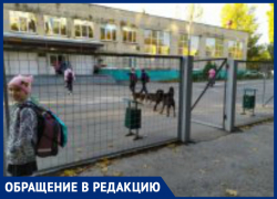 Детей из школы, где обучалась главы города Таганрога И.Титаренко, атакуют стаи собак Детей из школы, где обучалась главы города Таганрога И.Титаренко, атакуют стаи собак