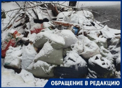 «Экотранс» не спешит вывозить мусор с улицы Ленина в Таганроге «Экотранс» не спешит вывозить мусор с улицы Ленина в Таганроге