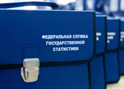 Таганрожцев перепишут пробно с помощью портала госуслуг Таганрожцев перепишут пробно с помощью портала госуслуг