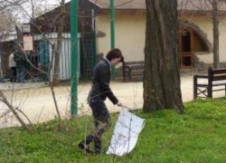 Таганрогские студенты вышли на субботник Таганрогские студенты вышли на субботник