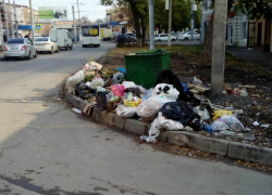 Жильцов домов по улице Чехова беспокоит накапливающийся мусор Жильцов домов по улице Чехова беспокоит накапливающийся мусор