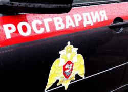 Росгвардейцы Таганрога поймали пьяного водителя, который пытался сбежать Росгвардейцы Таганрога поймали пьяного водителя, который пытался сбежать