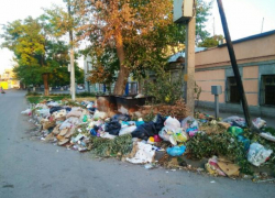 Таганрожцы устали терпеть кучи мусора от торгашей и обратились к властям Таганрожцы устали терпеть кучи мусора от торгашей и обратились к властям
