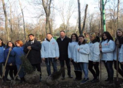 В Таганроге появилась «Аллея Дружбы» В Таганроге появилась «Аллея Дружбы»