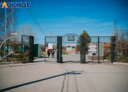Горожане хотят видеть парк 300-летия Таганрога местом активного и спокойного отдыха одновременно Горожане хотят видеть парк 300-летия Таганрога местом активного и спокойного отдыха одновременно