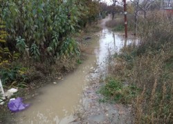 В Таганроге за гаражами 17-го Нового "можно разводить рыб, вся городская вода там" В Таганроге за гаражами 17-го Нового "можно разводить рыб, вся городская вода там"