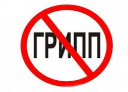 Грипп отступает от Таганрога Грипп отступает от Таганрога