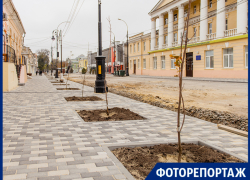 Палки вместо деревьев и новые фонари под старыми «соплями» - центральная улица Таганрога Палки вместо деревьев и новые фонари под старыми «соплями» - центральная улица Таганрога