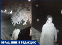 Таганрожцы прислали фото и видео «стахановцев», которые воруют решетки ливневок и выкапывают цветы Таганрожцы прислали фото и видео «стахановцев», которые воруют решетки ливневок и выкапывают цветы