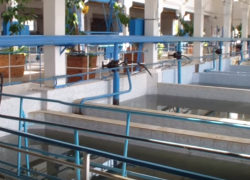 Вода с запахом и привкусом болота пришла в Таганрог из Ростова Вода с запахом и привкусом болота пришла в Таганрог из Ростова
