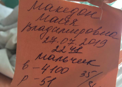 У депутата Алексея Македона родился третий мальчик - богатырь У депутата Алексея Македона родился третий мальчик - богатырь