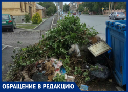 Жители обвинили территориальное управление в создании свалок в Таганроге Жители обвинили территориальное управление в создании свалок в Таганроге