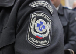 Под Таганрогом житель вызвал ветеринаров и получил штраф Под Таганрогом житель вызвал ветеринаров и получил штраф