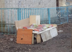 Таганрожцы просят помощи — сердобольные бабушки прикармливают бездомных собак и кошек Таганрожцы просят помощи — сердобольные бабушки прикармливают бездомных собак и кошек