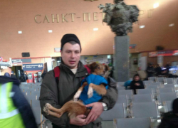 Песик Каштанчик, на операцию которого жертвовали деньги читатели Блокнота, из Таганрога прибыл в Санкт-Петербург Песик Каштанчик, на операцию которого жертвовали деньги читатели Блокнота, из Таганрога прибыл в Санкт-Петербург
