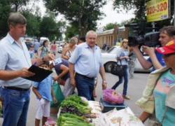 В Таганроге бабушек-зеленушек загоняют на территорию рынков В Таганроге бабушек-зеленушек загоняют на территорию рынков