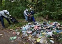 У мэра Таганрога появились защитники среди населения У мэра Таганрога появились защитники среди населения