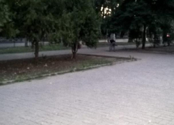 Таганрогский малый бизнес научился мести дороги Таганрогский малый бизнес научился мести дороги