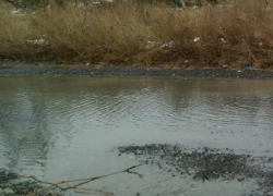 Водоканал Таганрога предпочитает не замечать утечку воды на 17-м Новом переулке Водоканал Таганрога предпочитает не замечать утечку воды на 17-м Новом переулке