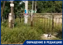«Настоящий бардак», - таганрожец о ж/д переходе на рынке «Березка» «Настоящий бардак», - таганрожец о ж/д переходе на рынке «Березка»