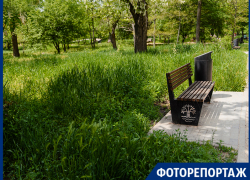 «По высокой-высокой траве» - ситуация с покосом в Приморском парке Таганрога не меняется «По высокой-высокой траве» - ситуация с покосом в Приморском парке Таганрога не меняется