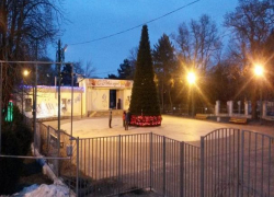 В Таганрогском парке установили елку В Таганрогском парке установили елку