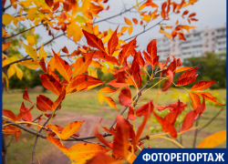 Чарующая осенняя природа под прицелом фотографа «Блокнот Таганрог» Чарующая осенняя природа под прицелом фотографа «Блокнот Таганрог»