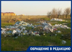 В Таганроге нормальной жизни птах мы мешаем своим мусором и безразличием В Таганроге нормальной жизни птах мы мешаем своим мусором и безразличием