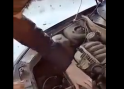 Автоледи своими «познаниями» надорвала животы многим таганрожцам Автоледи своими «познаниями» надорвала животы многим таганрожцам