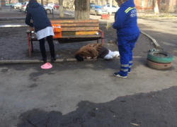 На помощь бомжам Таганрога приходит только «скорая помощь» На помощь бомжам Таганрога приходит только «скорая помощь»