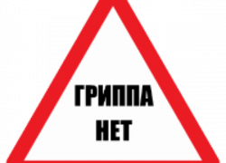 Сергей Мусиенко отчитался: в Таганроге грипа нет Сергей Мусиенко отчитался: в Таганроге грипа нет