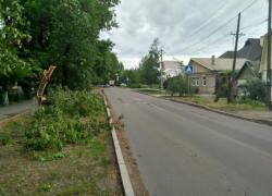 Таганрогские службы дерево с дороги убрали, а на тротуаре оставили Таганрогские службы дерево с дороги убрали, а на тротуаре оставили
