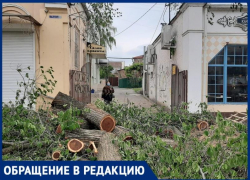 «Терпеть уже нет сил», -таганрожцы жалуются, что ремонт центральной улицы мешает им жить «Терпеть уже нет сил», -таганрожцы жалуются, что ремонт центральной улицы мешает им жить
