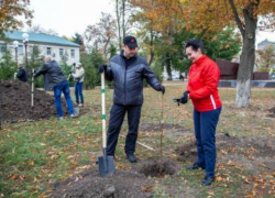 Руководители Таганрога славно поработали в День древонасаждений Руководители Таганрога славно поработали в День древонасаждений