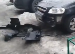 Бродячие собаки выгрызли бампер с автомобиля таганрожца Бродячие собаки выгрызли бампер с автомобиля таганрожца