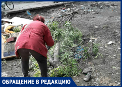 Таганрожцы никогда не научатся культуре бытия Таганрожцы никогда не научатся культуре бытия