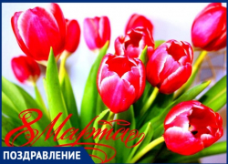 Сегодня 8 Марта - Международный женский день, примите наши поздравления Сегодня 8 Марта - Международный женский день, примите наши поздравления