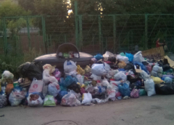 Жильцы улицы Театральной пожаловались на Спецавтохозяйство, которое утопило их в мусоре Жильцы улицы Театральной пожаловались на Спецавтохозяйство, которое утопило их в мусоре