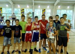 Таганрогский бокс возрождается талантливой молодежью Таганрогский бокс возрождается талантливой молодежью