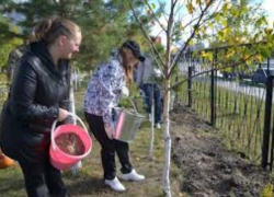 Центр Занятости потратит 2 миллиона на оплату труда учащихся во время каникул Центр Занятости потратит 2 миллиона на оплату труда учащихся во время каникул