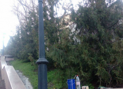 Воскресный «рьяный труд» благоустроителей не понравился горожанам Воскресный «рьяный труд» благоустроителей не понравился горожанам