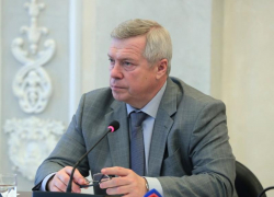 Таганроженка спросила у губернатора об интернет-вышках и его гражданстве Таганроженка спросила у губернатора об интернет-вышках и его гражданстве