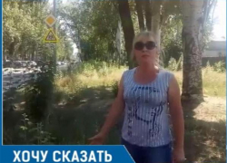 Амброзия у школы №24 в Таганроге разгневала горожанку, на детской площадке по ул. Свобода такая же история Амброзия у школы №24 в Таганроге разгневала горожанку, на детской площадке по ул. Свобода такая же история