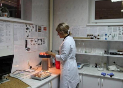 В Таганроге обследуют свинину на наличие вируса африканской чумы В Таганроге обследуют свинину на наличие вируса африканской чумы