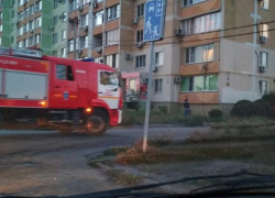 Виновницей возгорания в квартире в Таганроге стала черепашка Виновницей возгорания в квартире в Таганроге стала черепашка
