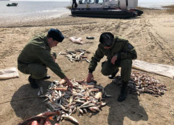 Браконьеры не прекращают незаконный вылов рыбы под Таганрогом Браконьеры не прекращают незаконный вылов рыбы под Таганрогом