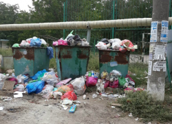 Жительница Таганрога с улицы Б.Хмельницкого призывает власти убрать мусор Жительница Таганрога с улицы Б.Хмельницкого призывает власти убрать мусор