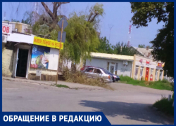 Обрезав ветки, работники «Благоустройства» не думают их убирать Обрезав ветки, работники «Благоустройства» не думают их убирать